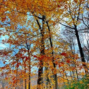 Meet your Posher, Alison